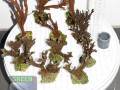 Montipora-sp.digitate-rot´-M.-sp.stahlblau´-M.-sp.graugruen-M-L-DSC09822