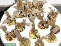 Montipora-sp.stahlblau´S-M-DSC03186