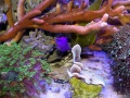 DSC08866