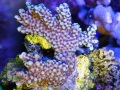 DSC08882