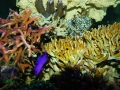DSC09250