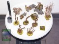 Mixed-softcoral-gorgonians-Zoanthus-S-M-DSC09685