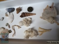 DSC05469