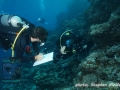 Substrate team at work at Marsa Egla