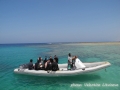 Ready for the Reef Check Survey at Marsa Egla!