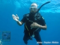 UW sign for Soft Coral (SC)
