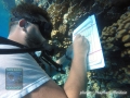 Invertebrate Survey