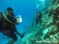 Substrate Survey