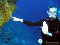 3 RC Eco Diver Course - UW-Sign HC P1015607