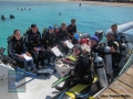 6 Reef Check Survey 2013 9122437319