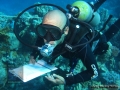 8_Survey-invertebrate-team 2013_DSC09969