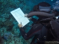 8_Survey-invertebrate-team 2013_DSC09972