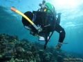 8_Survey-invertebrate-team 2015 DSC03893