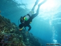 8_Survey-invertebrate-team 2015 DSC03894
