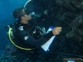 8_Survey-invertebrate-team 2015_DSC03776