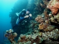 9_Survey-substrate-team 2012 DSC01515