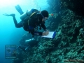 9_Survey-substrate-team 2012 DSC01529