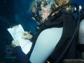 9_Survey-substrate-team 2015_DSC03811