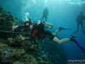 9_Survey-substrate-team 2015_DSC03908