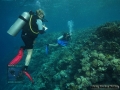 9_Survey-substrate-team 2015_DSC03916