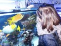 Fischfuetterung-DSC03505