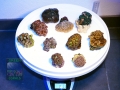 14 LPS Spezial Mix 811g DSC05046