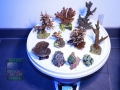 4 SPS-LPS Mix 1 778g DSC05052