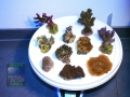 5 SPS-LPS Mix 2 773g DSC05065