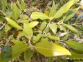 DSC09738