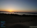 DSC09831