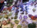 DSC02661