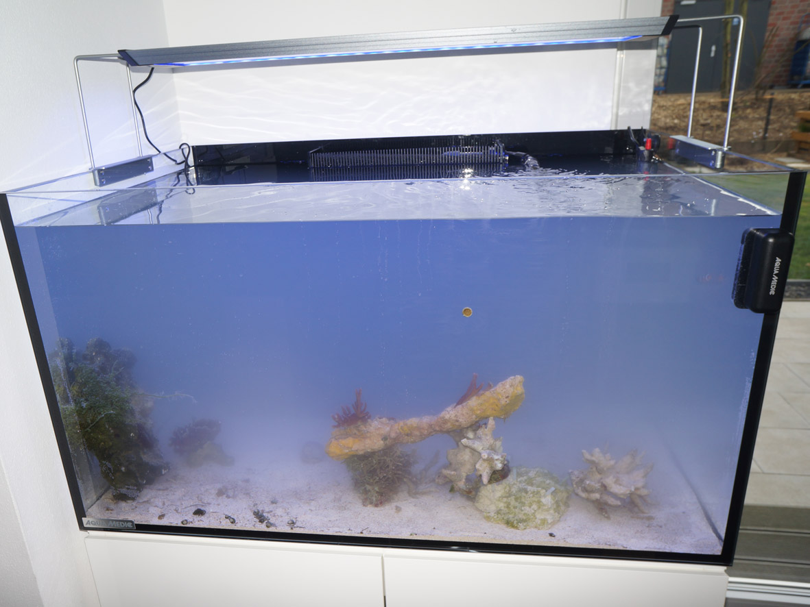 FEEDBACK Aquarienplanung Marcel Hartwig