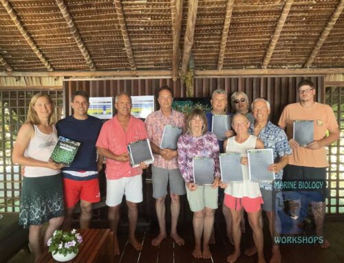 Coral Reef Workshop Raja Ampat 2025