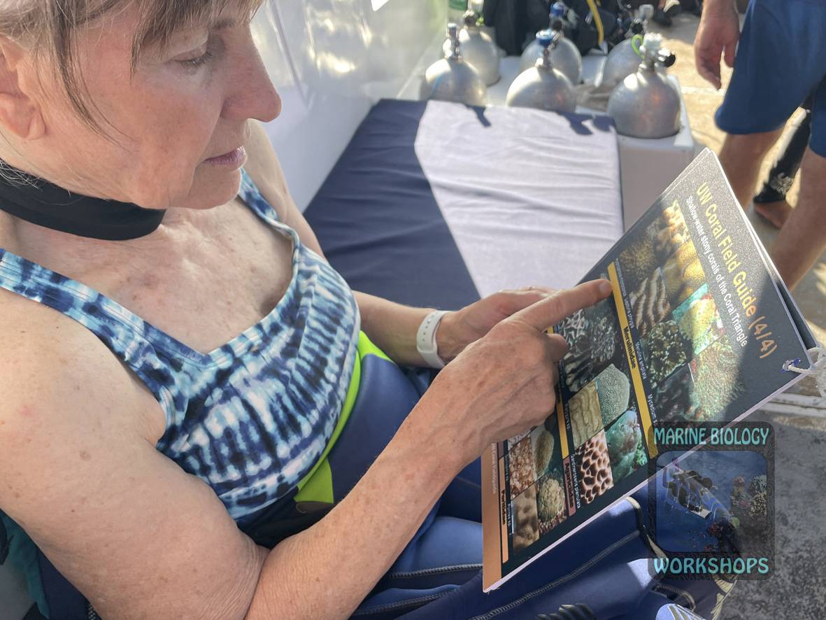 Coral Field Guide wird gelesen