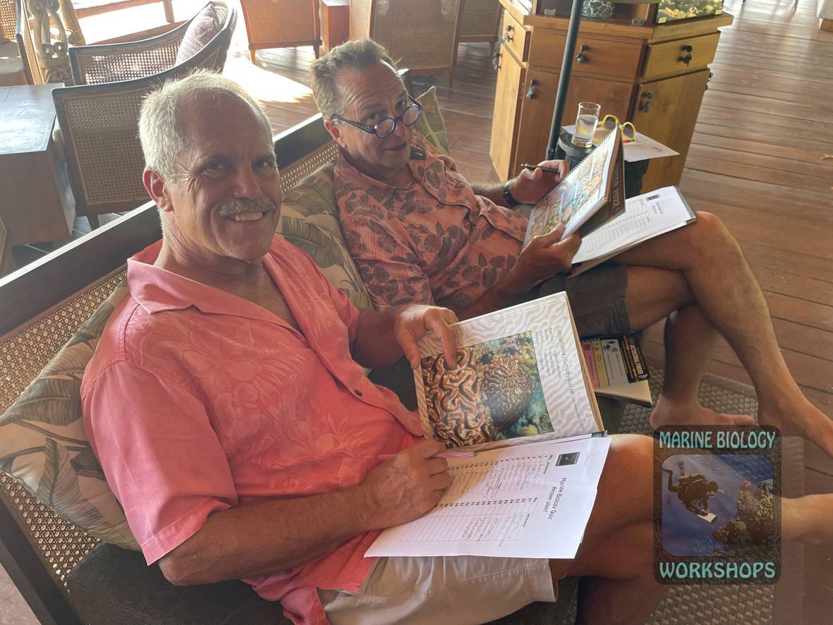 Zwei Teilnehmer machen ein Korallenquiz