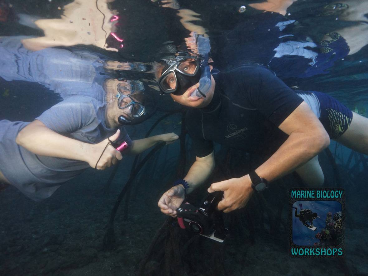 Schnorcheln und Unterwasserfotografieren