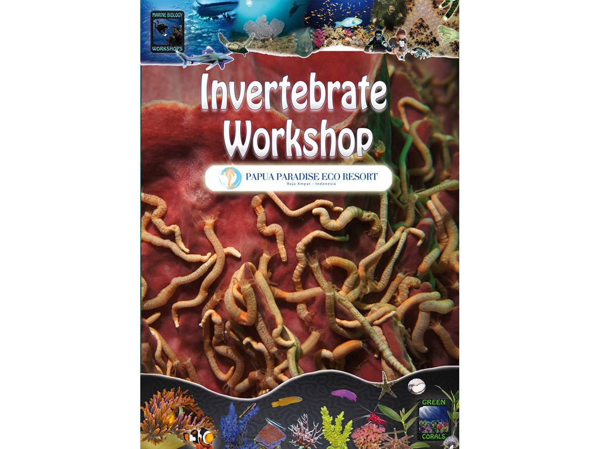 Wirbellosen-Workshop Booklet Cover