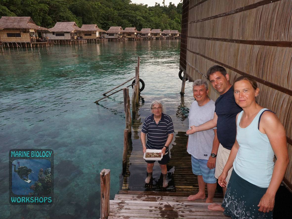 Während unserer Tauchgänge sammelten wir Proben vom für den Wirbellosen-Workshop