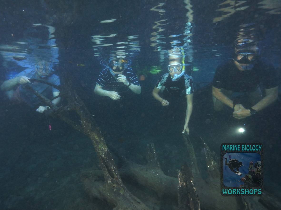 Gruppenfoto der Taucher Unterwasser