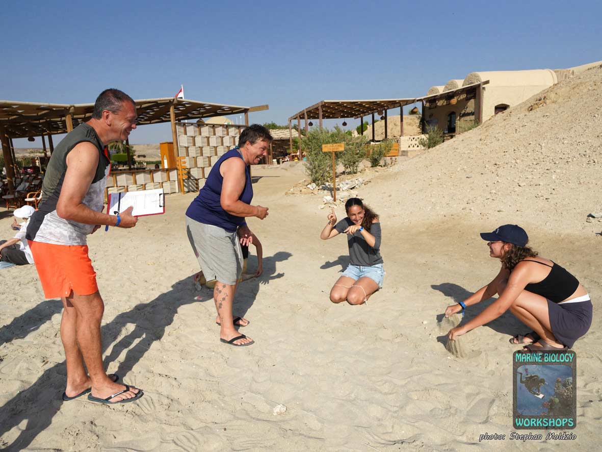 Beach Exercise, practiced the Reef Check method