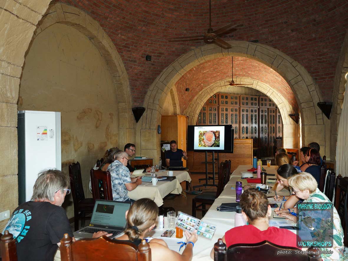 The classroom: The course was fully booked