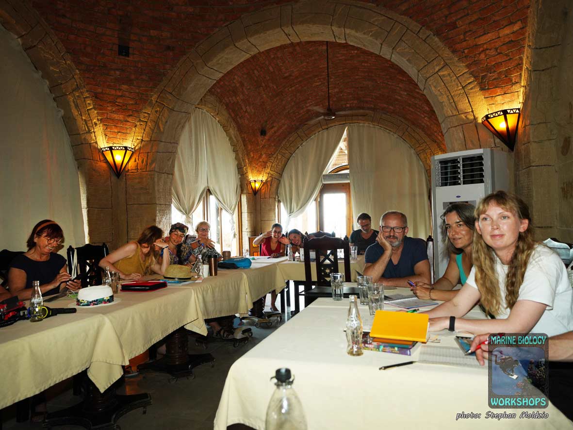 14 participants from five countries: Germany, Poland, Czechia, England, and Egypt.