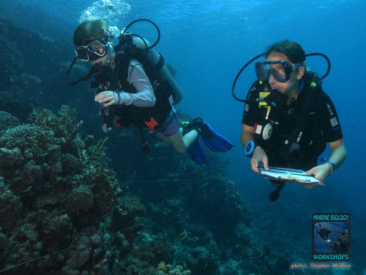 Felix and Tamara are diving.
