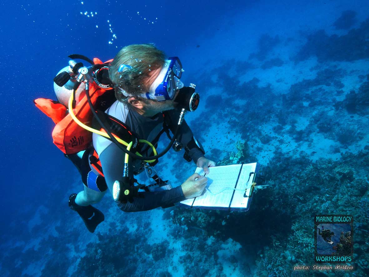 Pavel dived and used the Reef Check indicator.