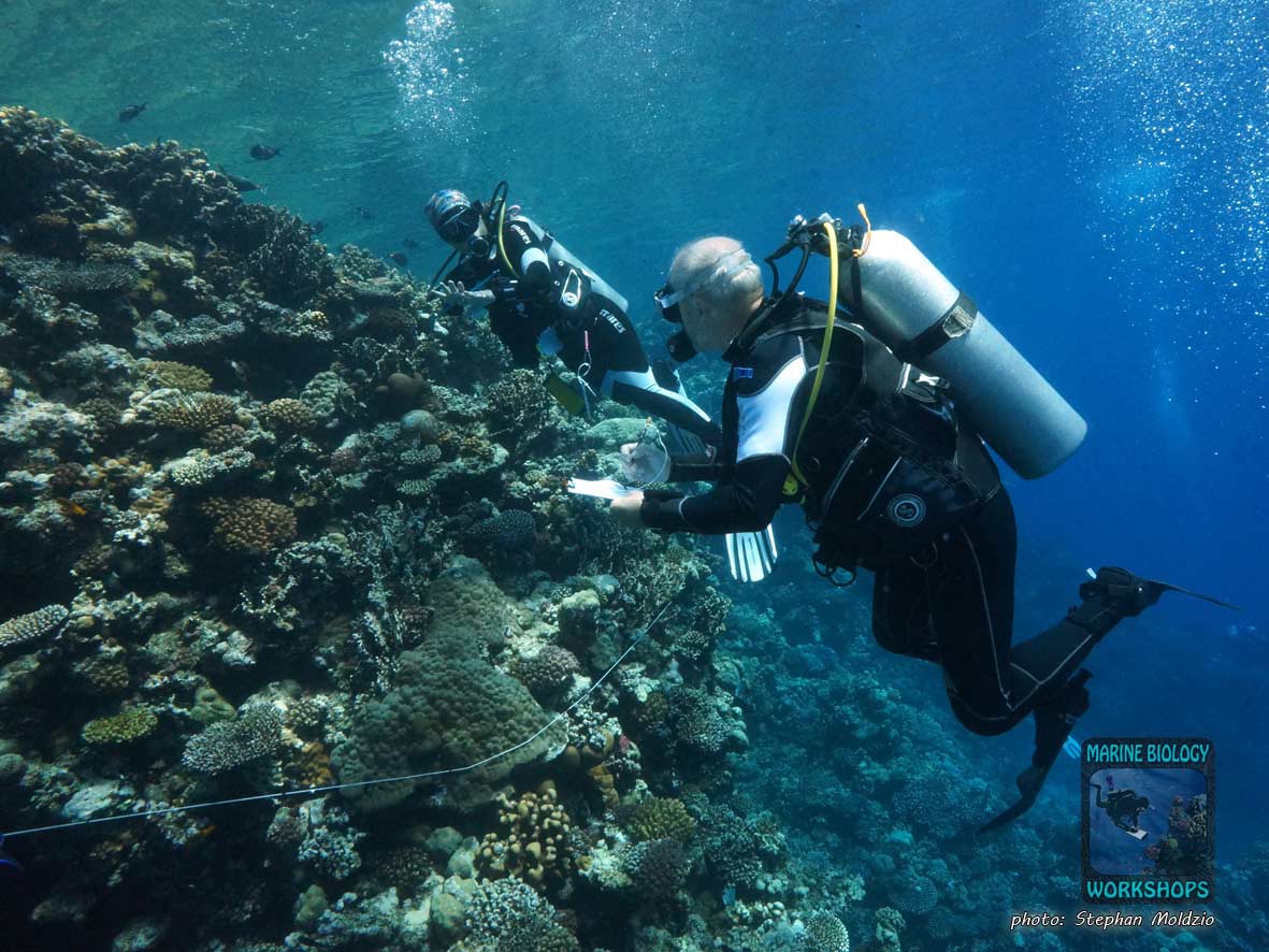 Lena and Michael examine the reef.