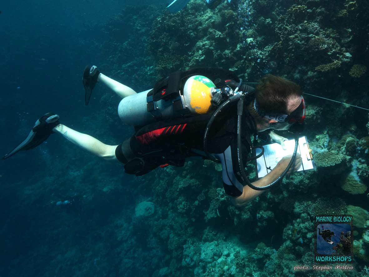 Christopher collects reef data in the Reef Check course