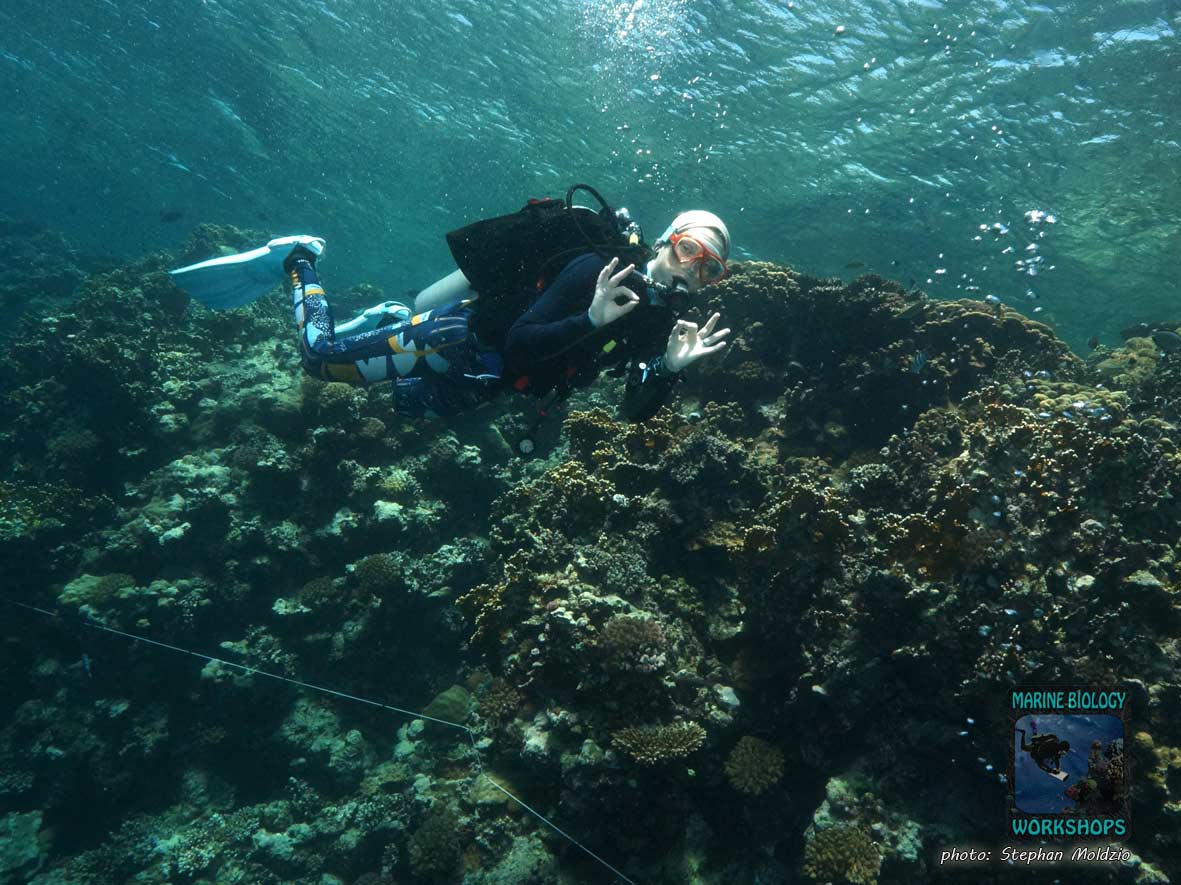 Elisabeth signals with her hand while diving that everything is okay.