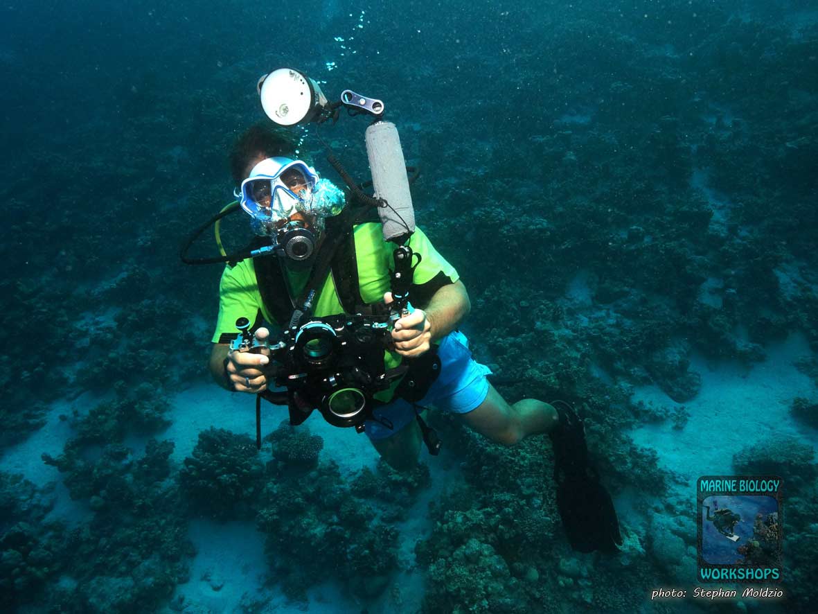 Stephan, the course instructor, uses an underwater camera during the reef check course.