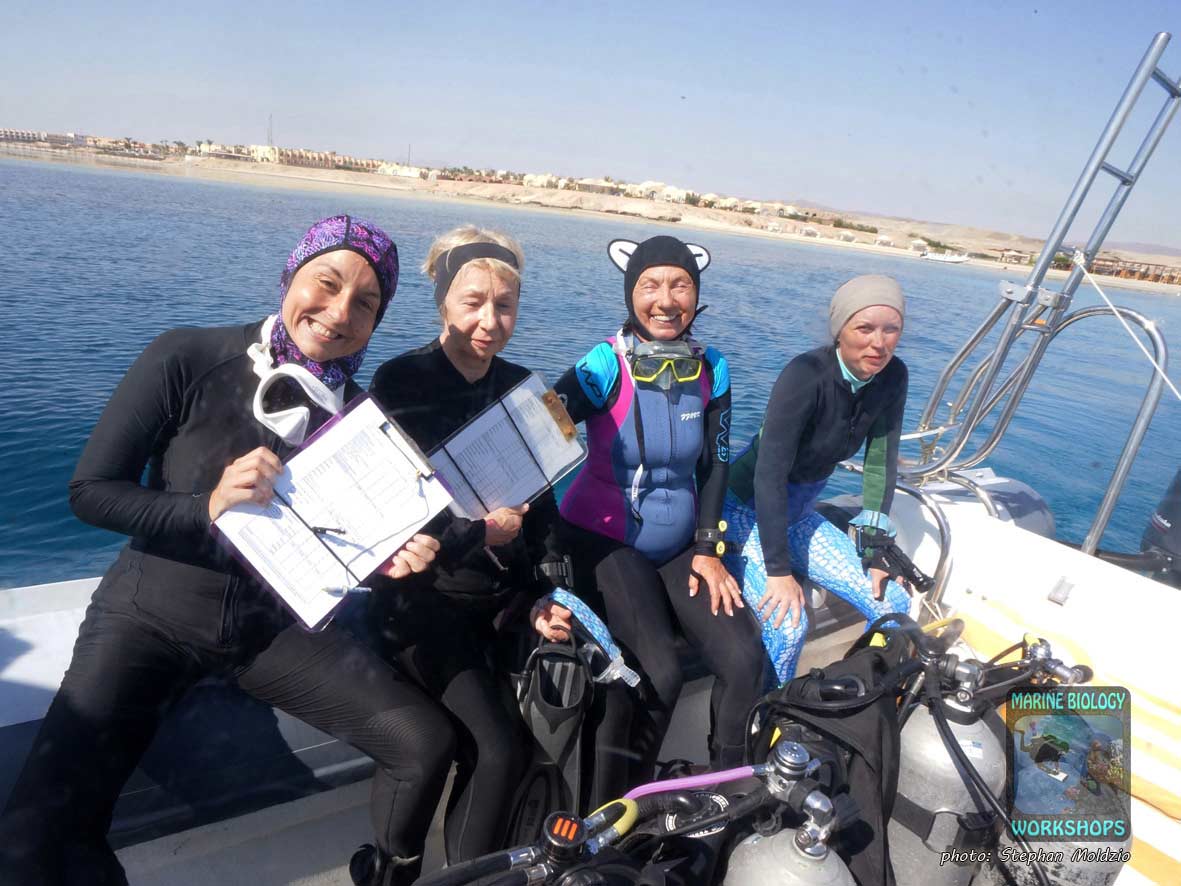 entered the data from the underwater slates on Reef Check Surveys