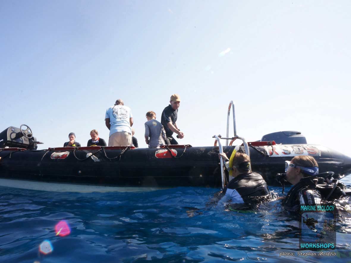 Ready for the Reef Check Surveys dive